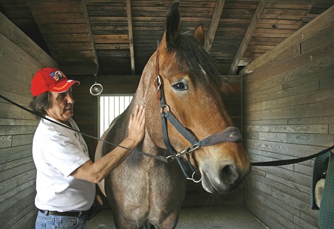 Good Buddies —- Army Veteran Larry Opitz spends some time with his favorite horse, Kris, at Strongwater Farm in Tewksbury, Mass. Photo by Bob Whitaker, Lowell Sun   www.lowellsun.com     Used with permission.