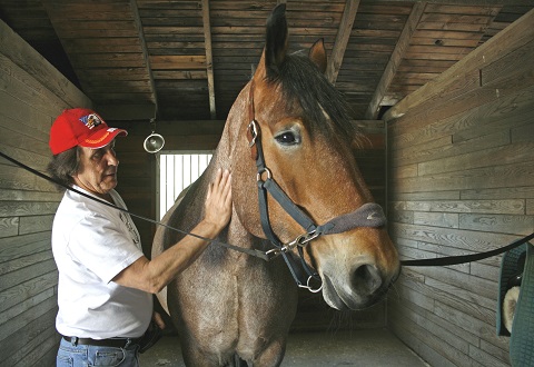 Good Buddies —- Army Veteran Larry Opitz spends some time with his favorite horse, Kris, at Strongwater Farm in Tewksbury, Mass. Photo by Bob Whitaker, Lowell Sun www.lowellsun.com Used with permission. Good Buddies —- Army Veteran Larry Opitz spends some time with his favorite horse, Kris, at Strongwater Farm in Tewksbury, Mass. Photo by Bob Whitaker, Lowell Sun www.lowellsun.com Used with permission.