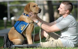 guide dog services